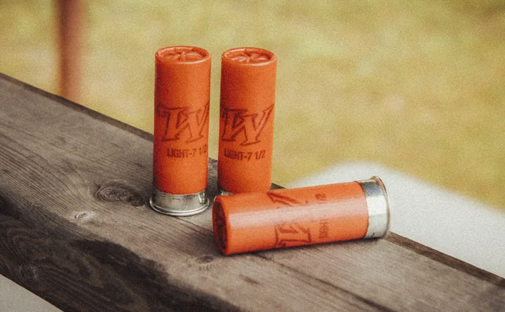Shotgun Shells