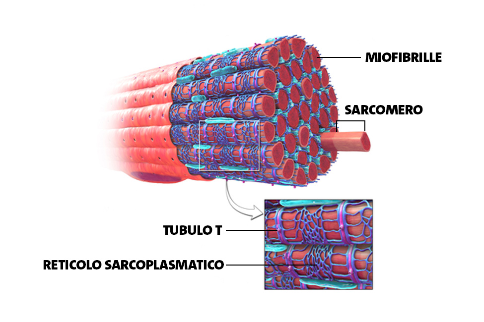 Un tema complesso ma fondamentale Come