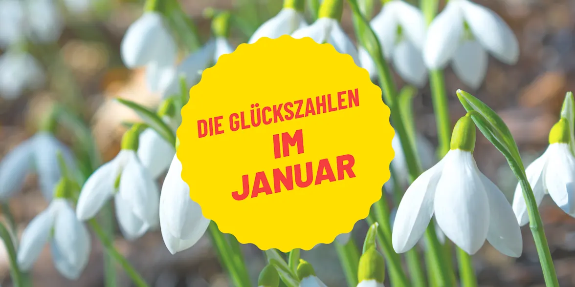Steinbock & Wassermann: Die Januar-Sternzeichen im Glücksfokus