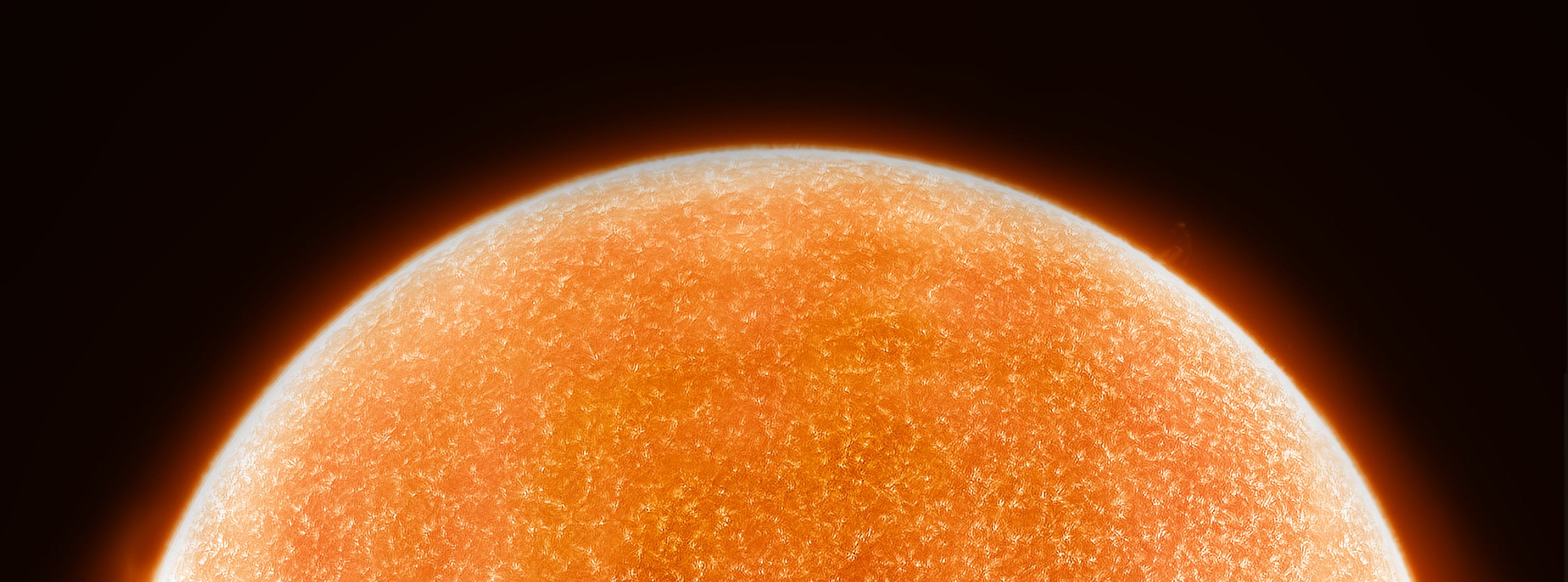 IVY MY COSMOS S 3点セット Consuela Midtown Ivy Crossbody Bag | Dillard's