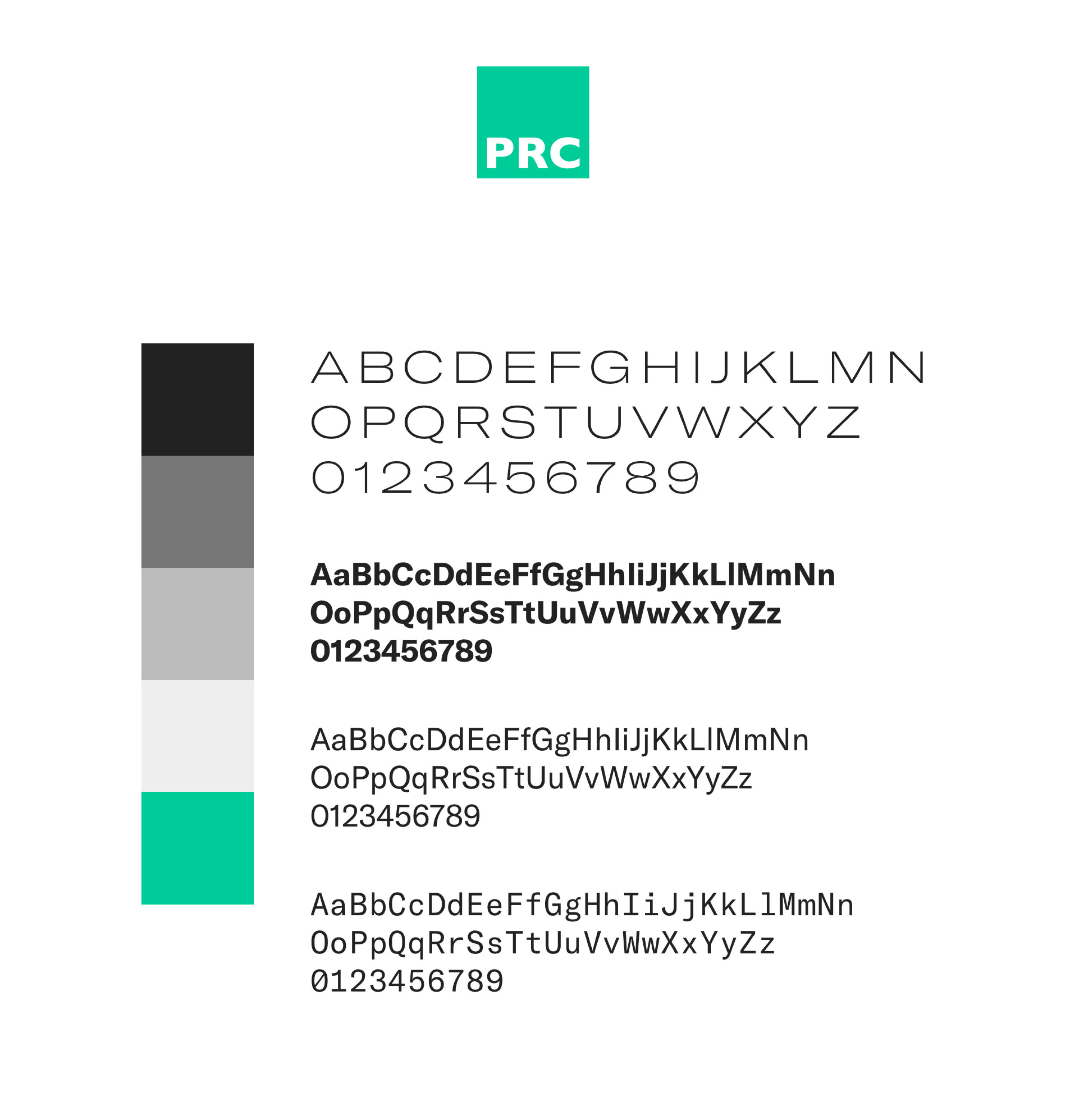 A detailed layout showing the typefaces and colour palette used in the brand.