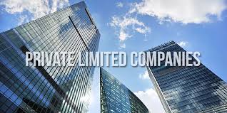 Understanding Private Limited Company Structure