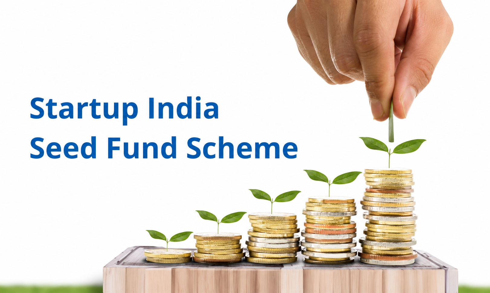 Startup India Seed Fund Scheme 2026: Latest Funding Updates