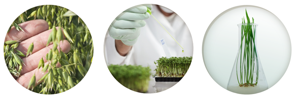 Picture of Naturally Active Ingredients