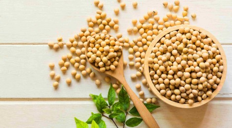 The Brightening Benefits of Soybeans - Image - Johnson's Adult - ar-AE