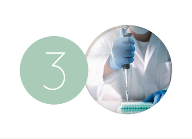 Picture of naturally active ingredients Development