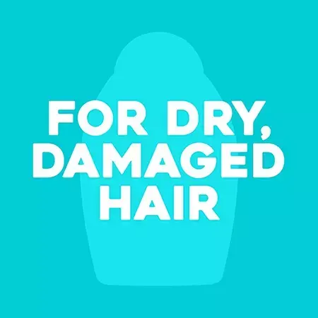 OGX Renewing + Argan Oil of Morocco Weightless Healing Dry Oil Spray image 8