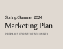 Marketing Plan icon