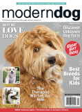 Modern Dog Magazine icon