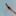 DTS AWAY Daniel Farò Photo ID7527