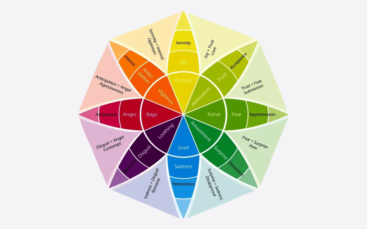 Plutchik’s Wheel of Emotions. We chose to use the second circle from the center, as we felt it was most relevant for our practice.