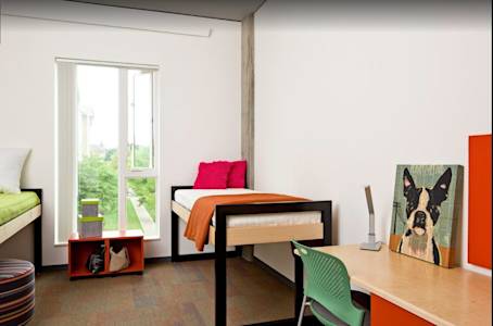 International Living Learning Center accommodation interior at Oregon State University International Living Learning Center accommodation interior at Oregon State University