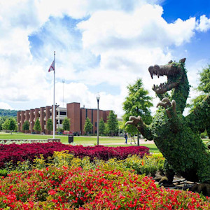 The University of Alabama at Birmingham