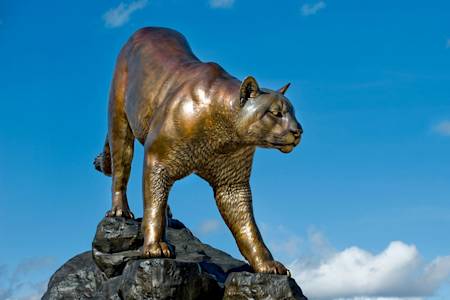Statue of the school's Cougar mascot. Statue of the school's Cougar mascot.