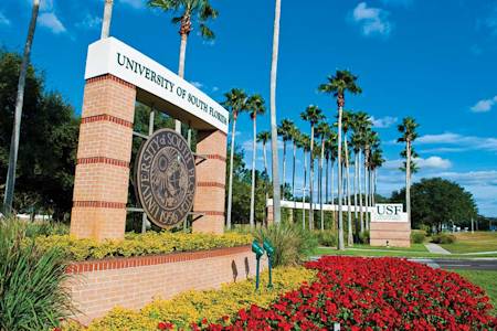 南佛罗里达大学校园标志 南佛罗里达大学校园标志