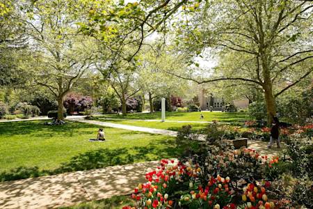 Campus life and city life, have it all at Hofstra Campus life and city life, have it all at Hofstra