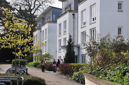 学生们站在Park Villas学生公寓外 学生们站在Park Villas学生公寓外