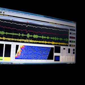 Monitor with brain waves. Monitor with brain waves.