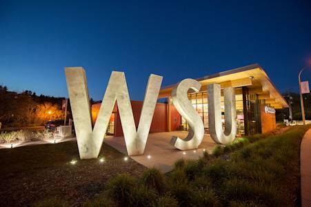 Campus lights up at night. Campus lights up at night.