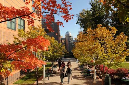 Trees change color on campus at George Mason University Trees change color on campus at George Mason University