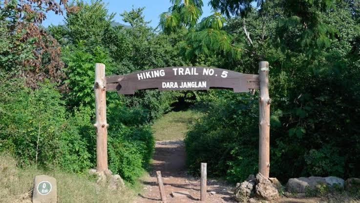 Islamabad Closes Margalla Hills Trails for Two Days