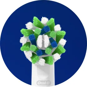 Everyday refill heads image