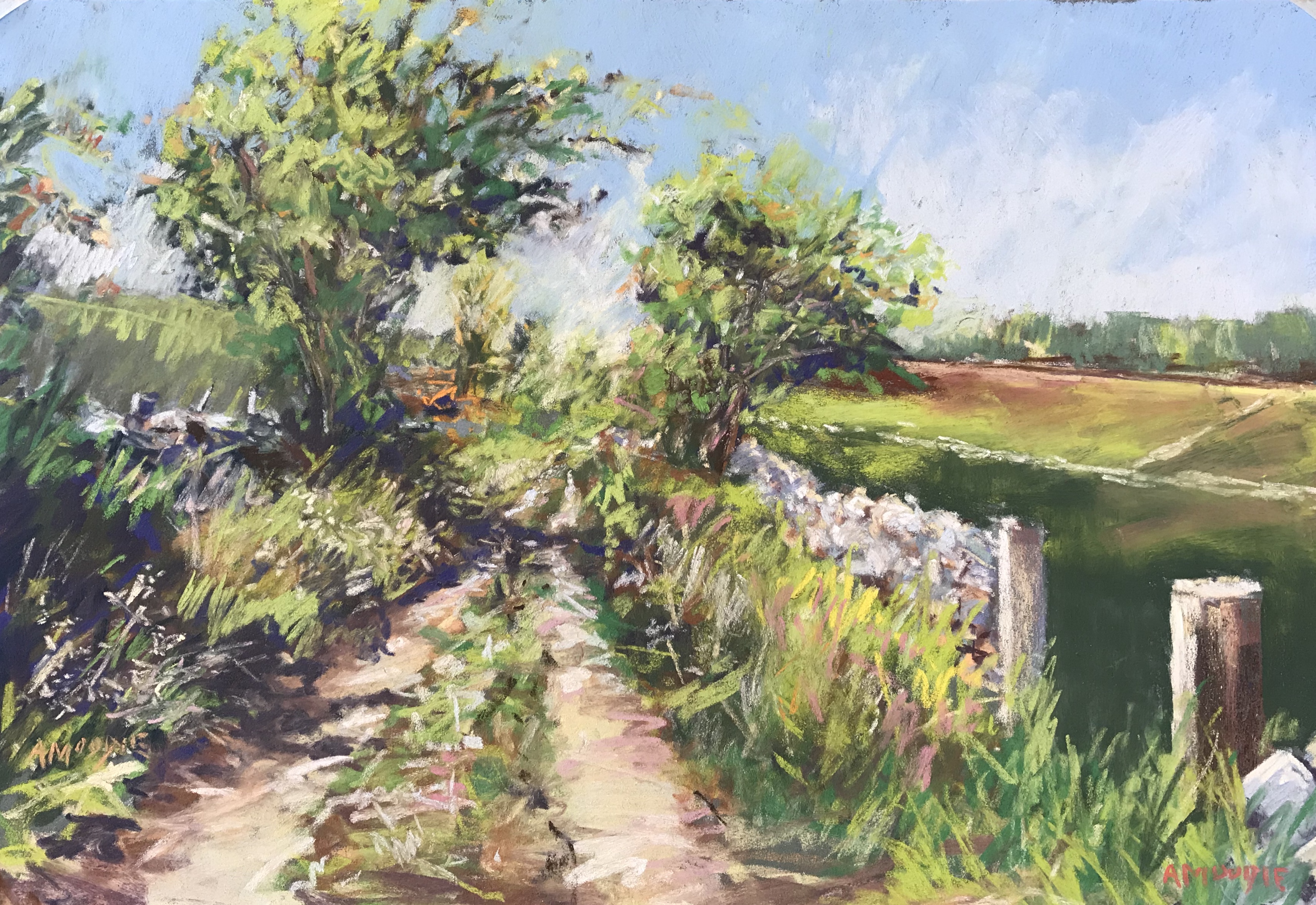 Summer Track (pastel, mounted)