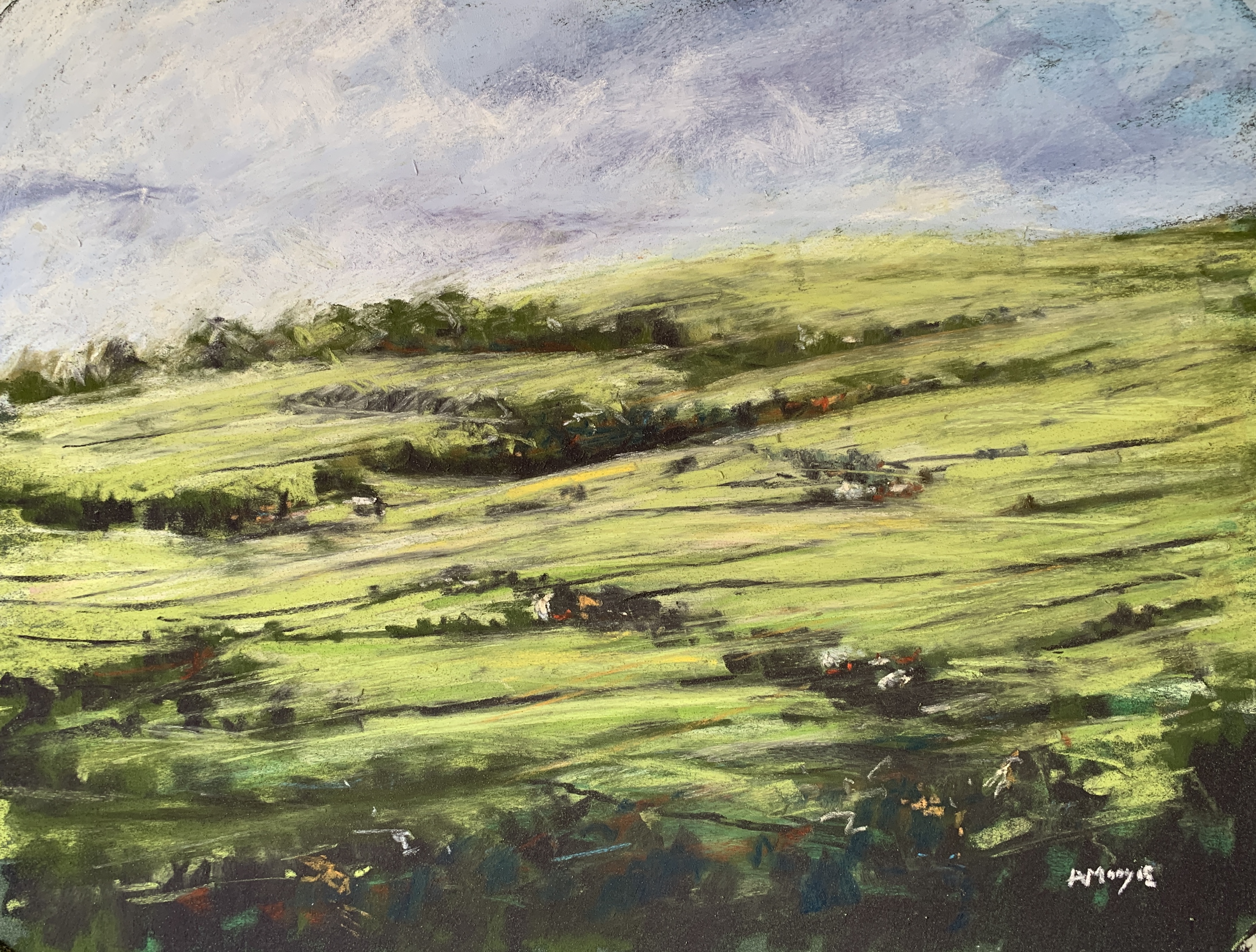 Rolling Dales (pastel, mounted)