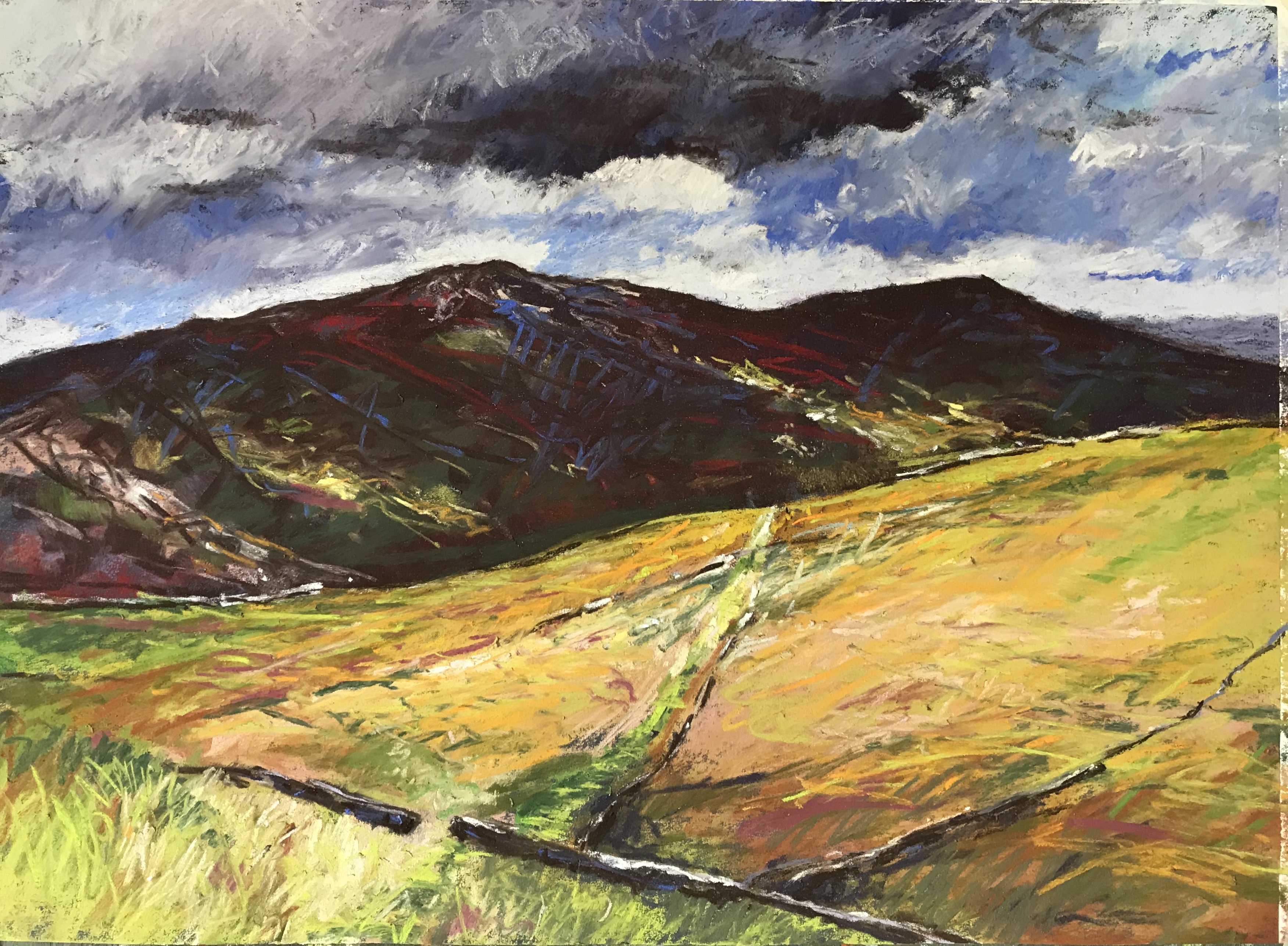 Sudden Light (Yorkshire Dales) (pastel, mounted)