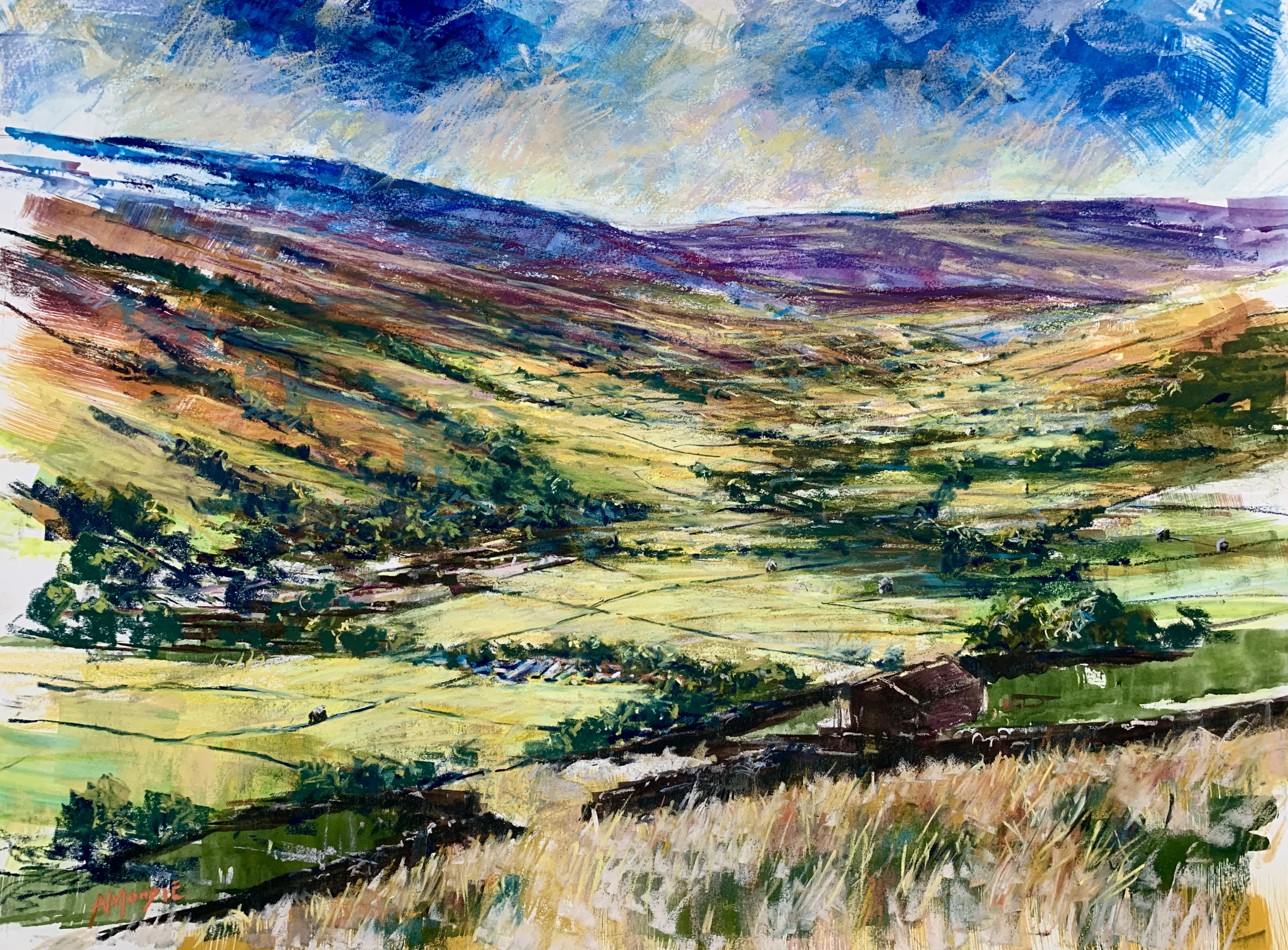 Swaledale Valley (mixed, mounted)