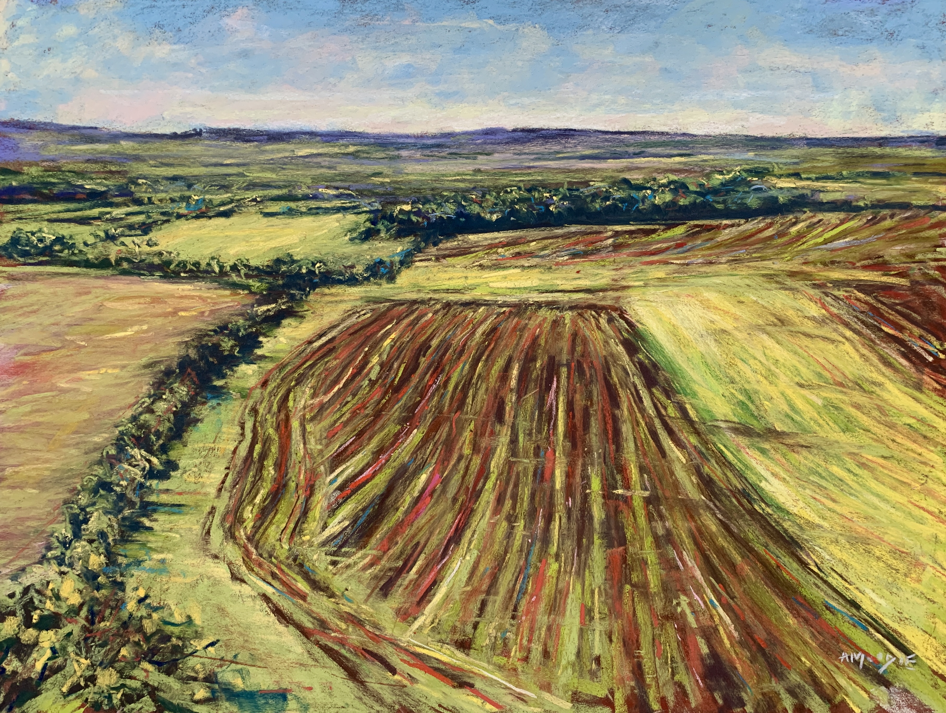 Ploughed Patterns , Knapp Hill, Wiltshire (pastel, mounted)