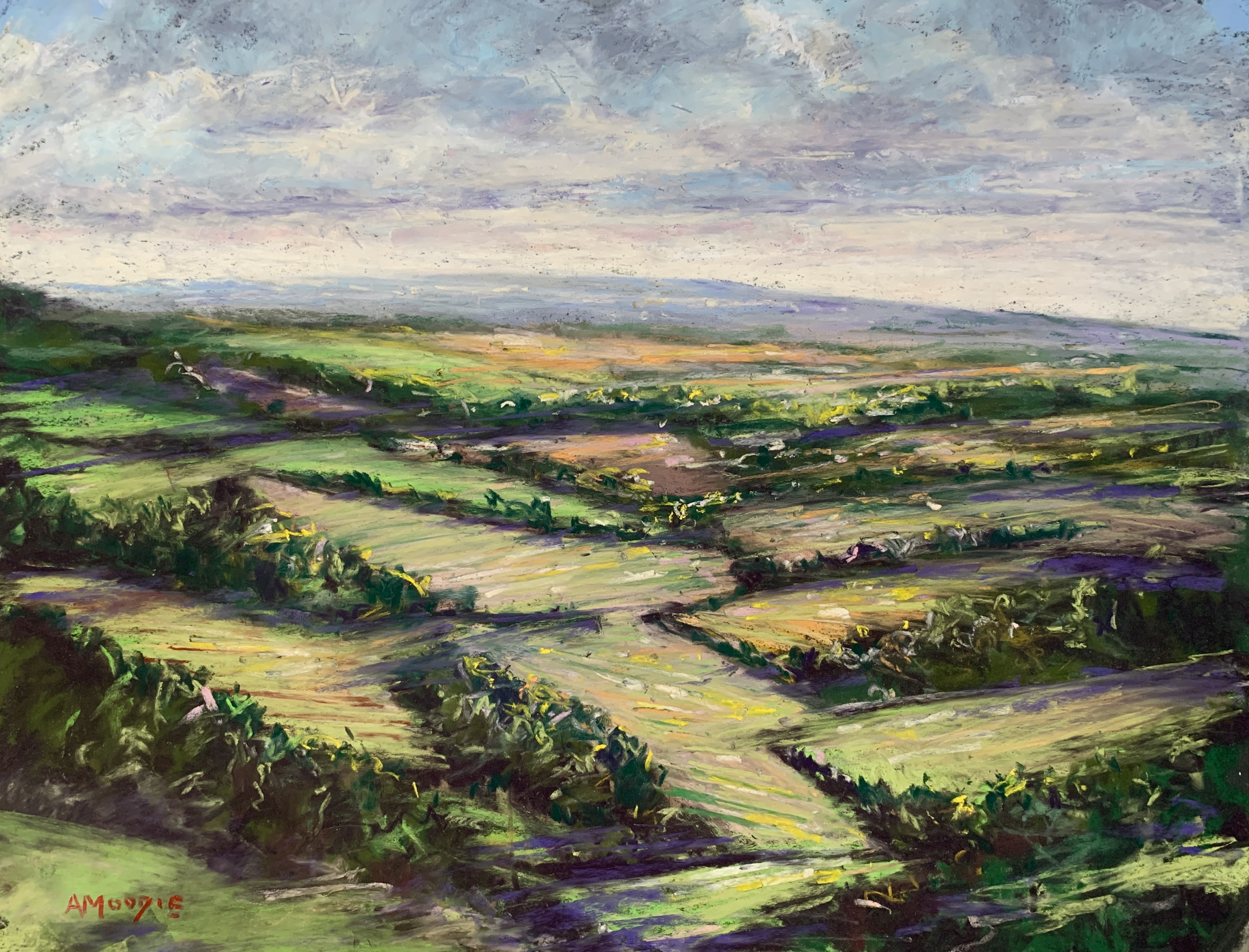 View From Martinsell Hill, Wiltshire (pastel, mounted)