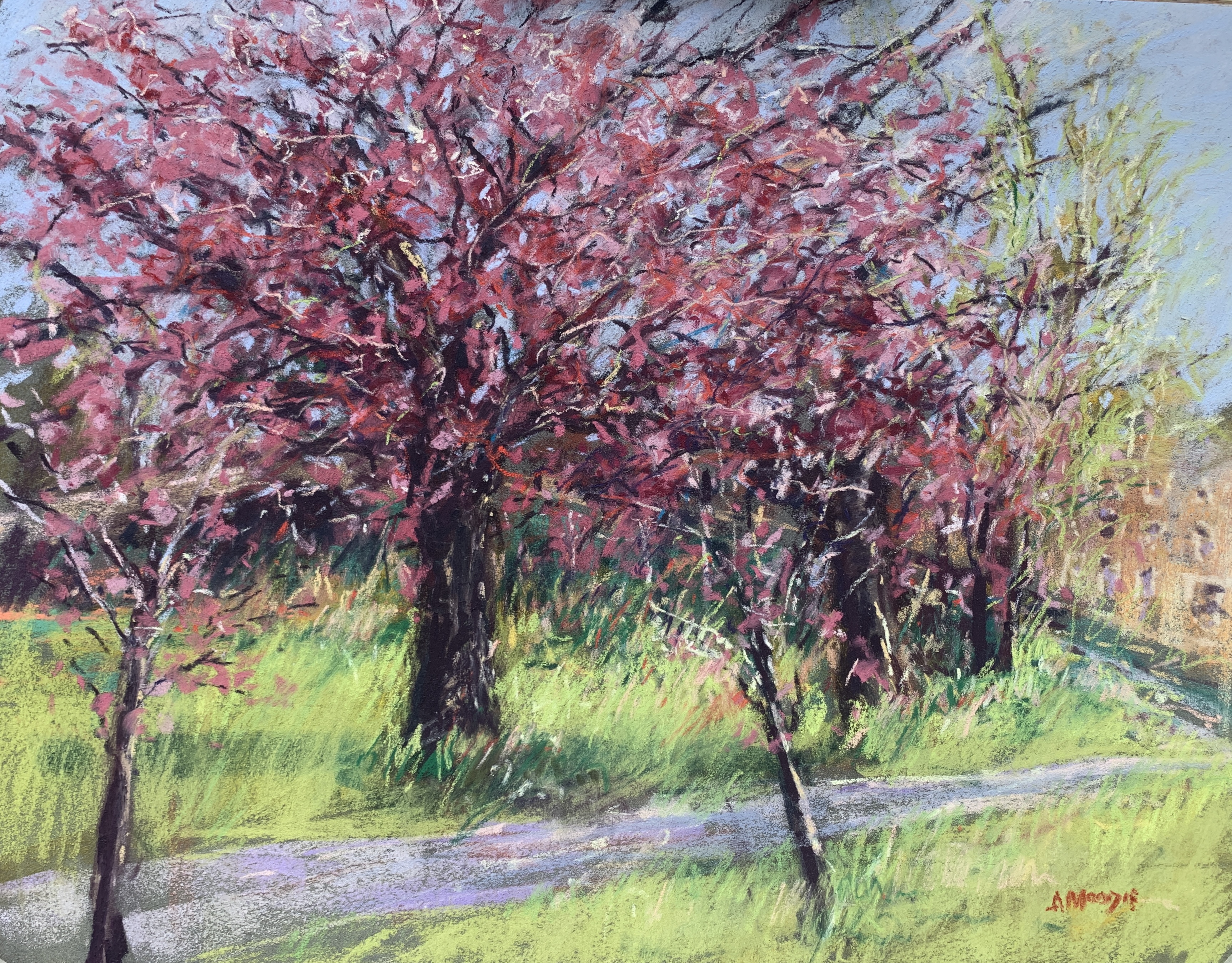 Blossom at Tewit Well (pastel,mounted)
