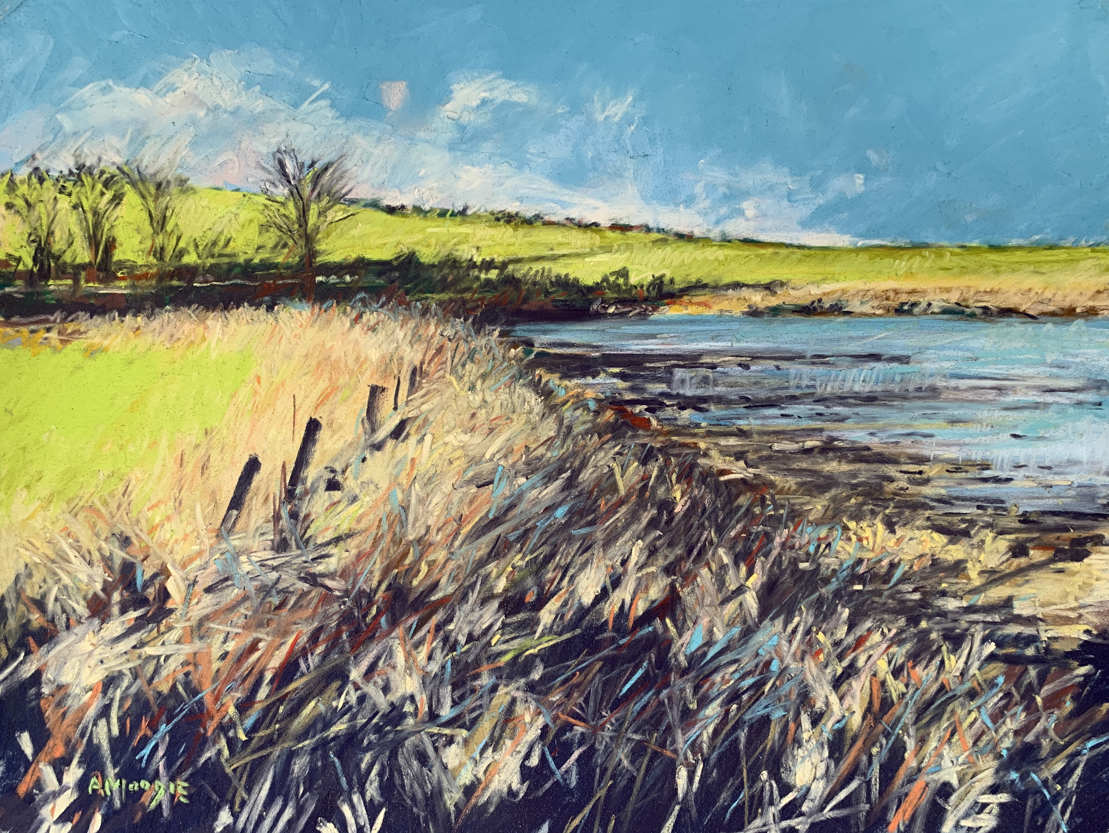 Budle Grasses (pastel, mounted)