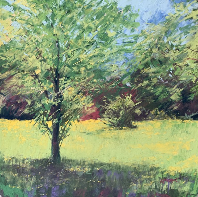 Buttercup Summer (pastel, mounted)