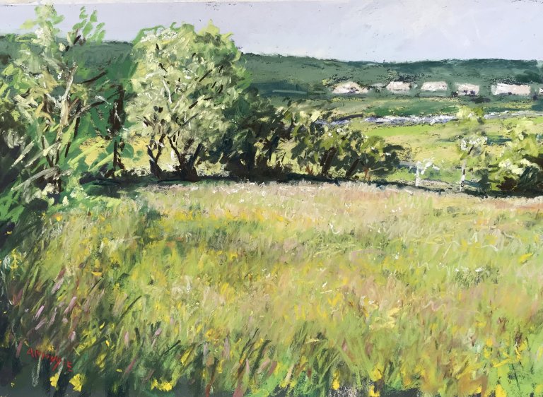 Buttercups in June (pastel, mounted)