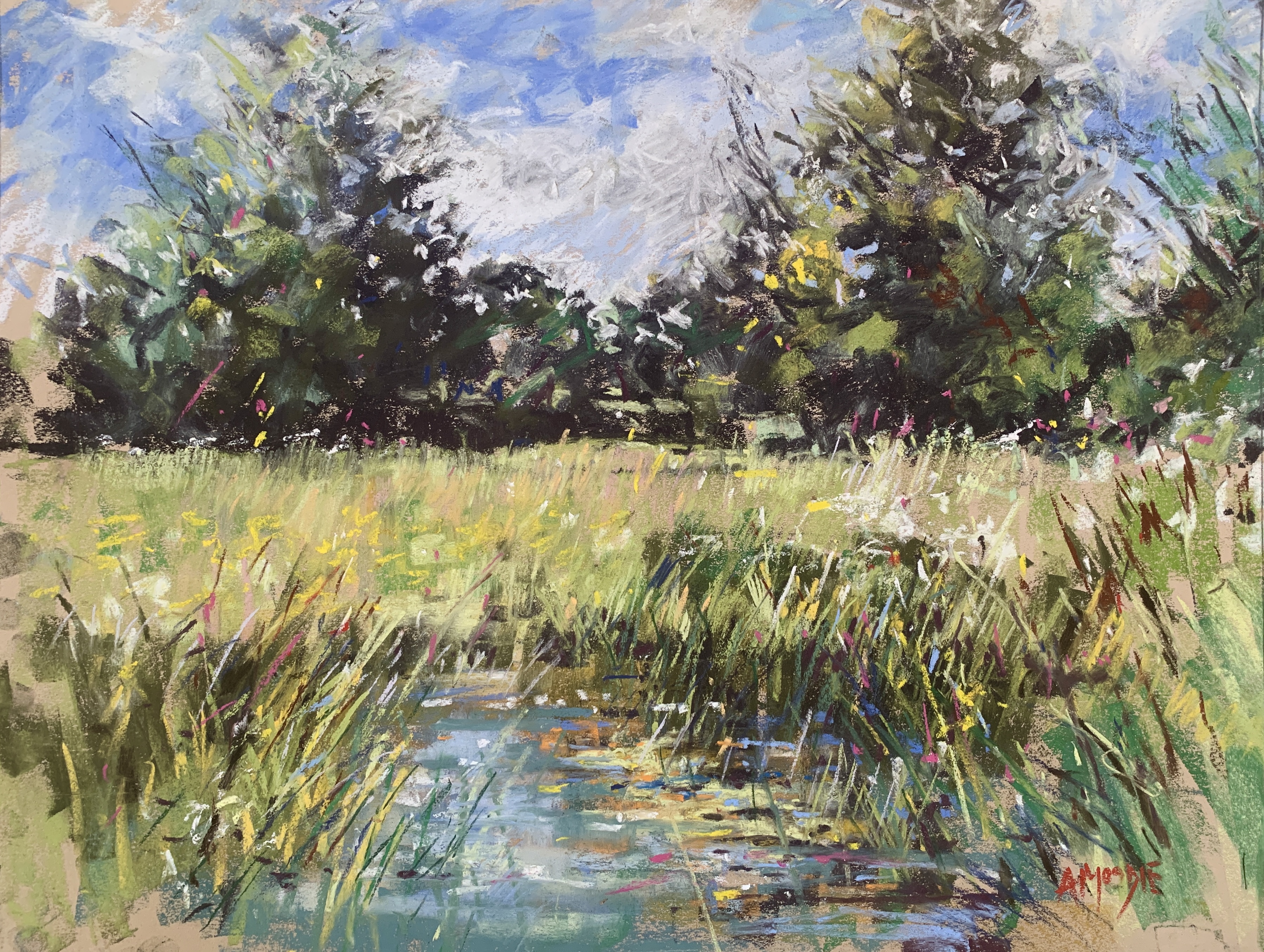 Pond Light (pastel, mounted)