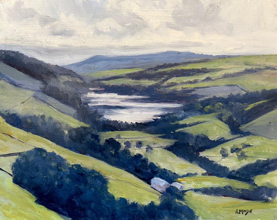 View Over Gouthwaite Reservoir (ol, framed)