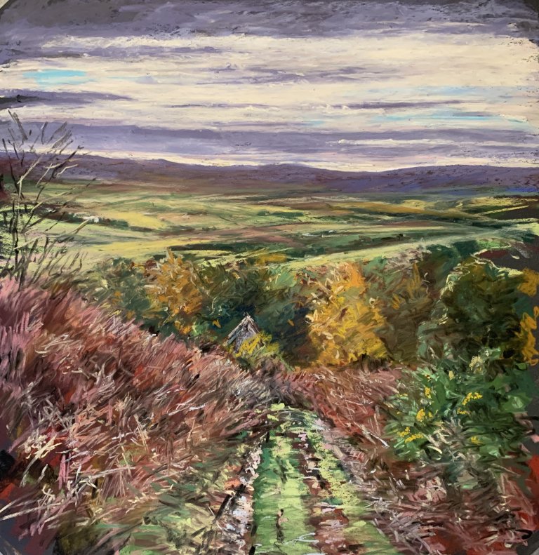 Fernland Track, Danby (pastel, mounted)
