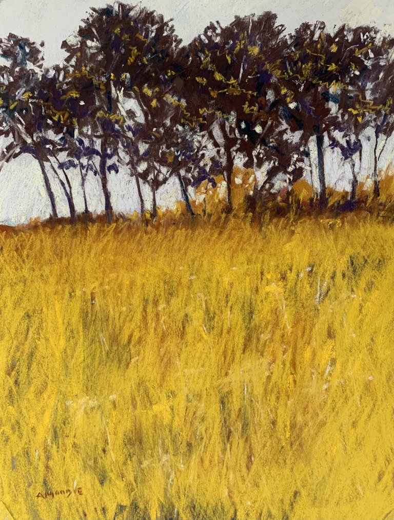 Golden Meadows (pastel, mounted)