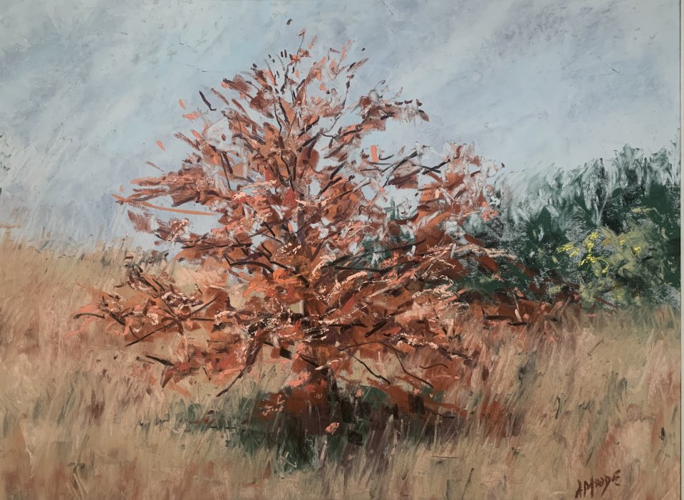 Autumn Field (pastel, mounted)