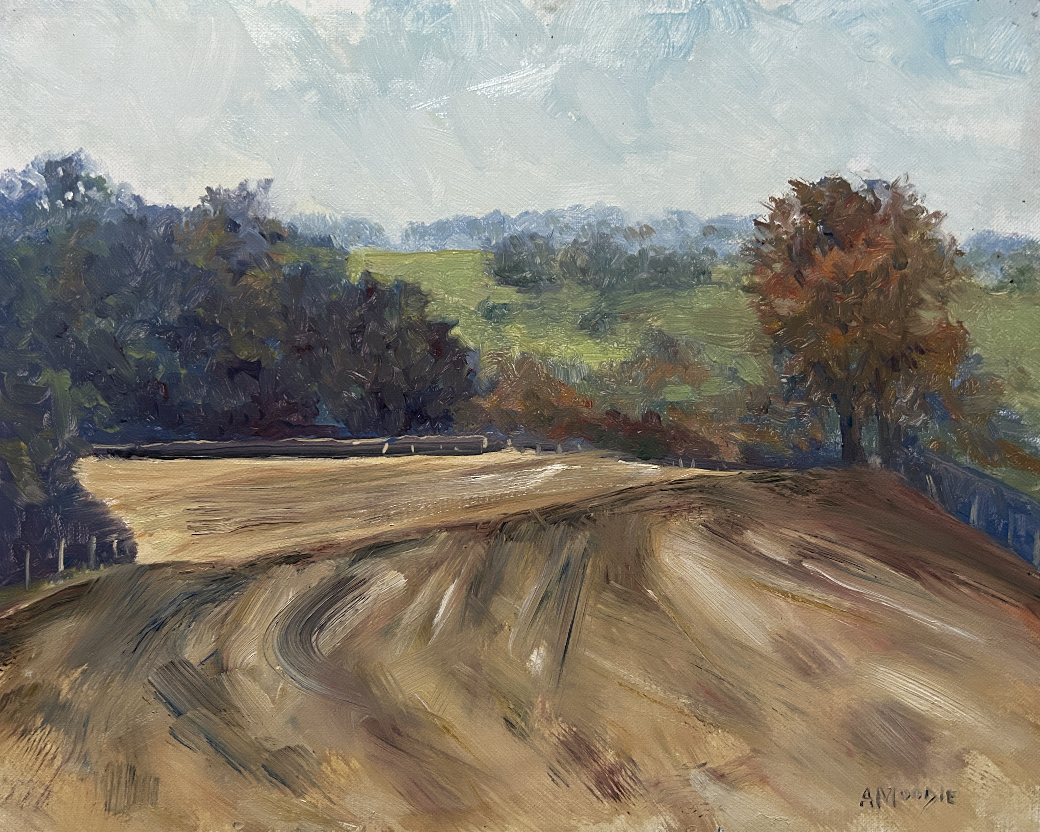 Ploughed Fields, Autumn (oil, framed)