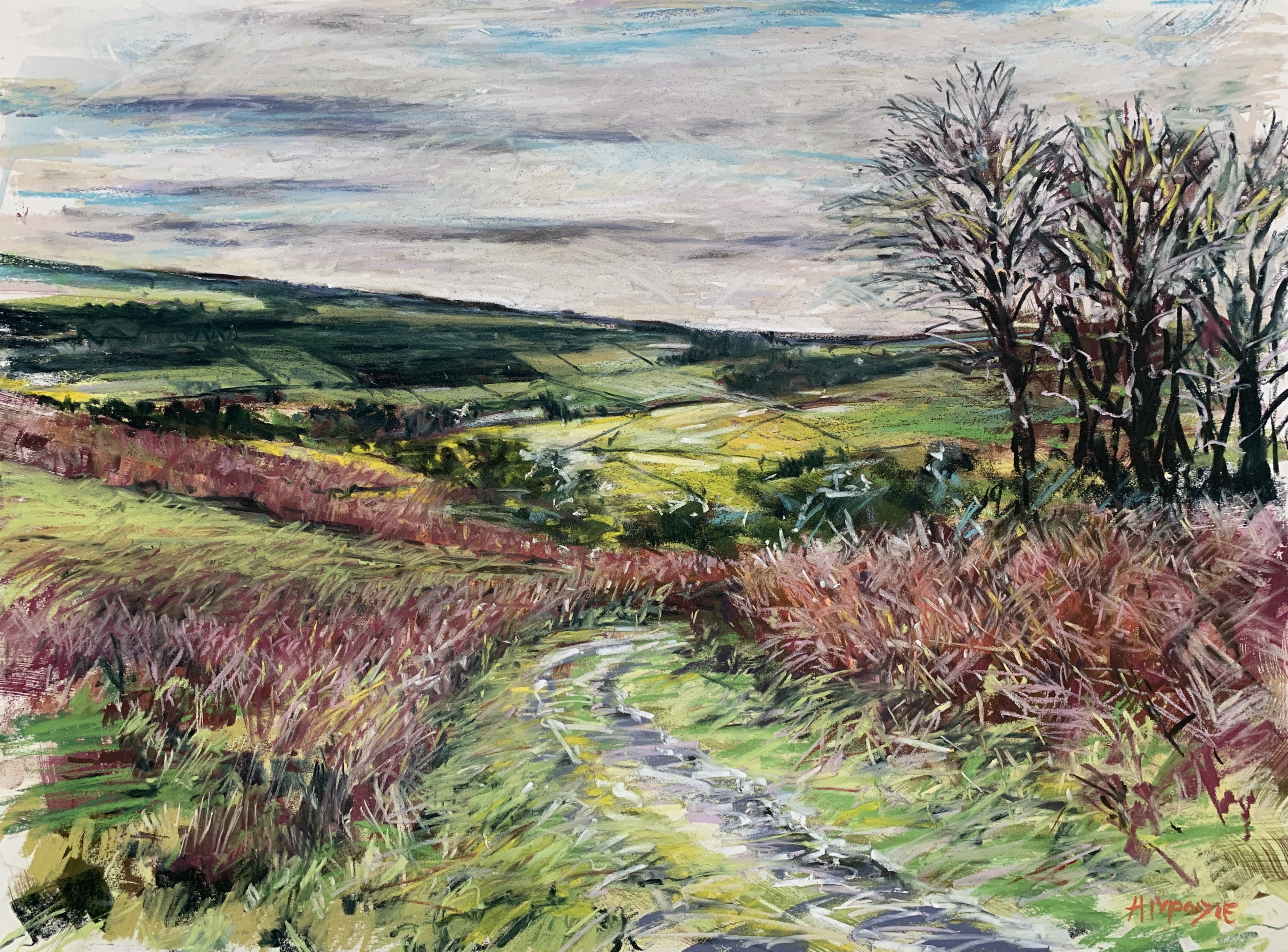 Track of Colour, Danby (mixed media, mounted)