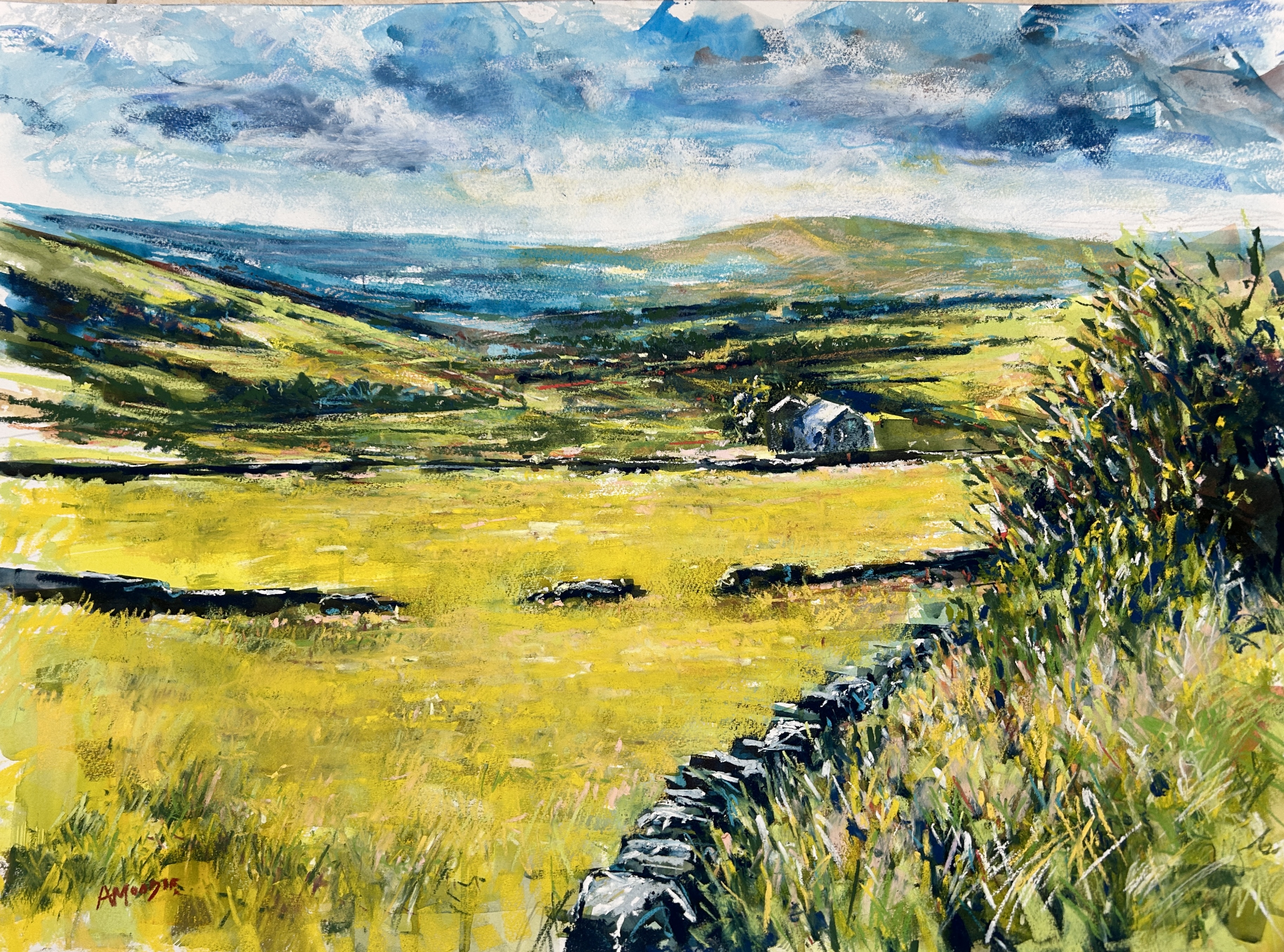 Dales Landscape (mixed, mounted)