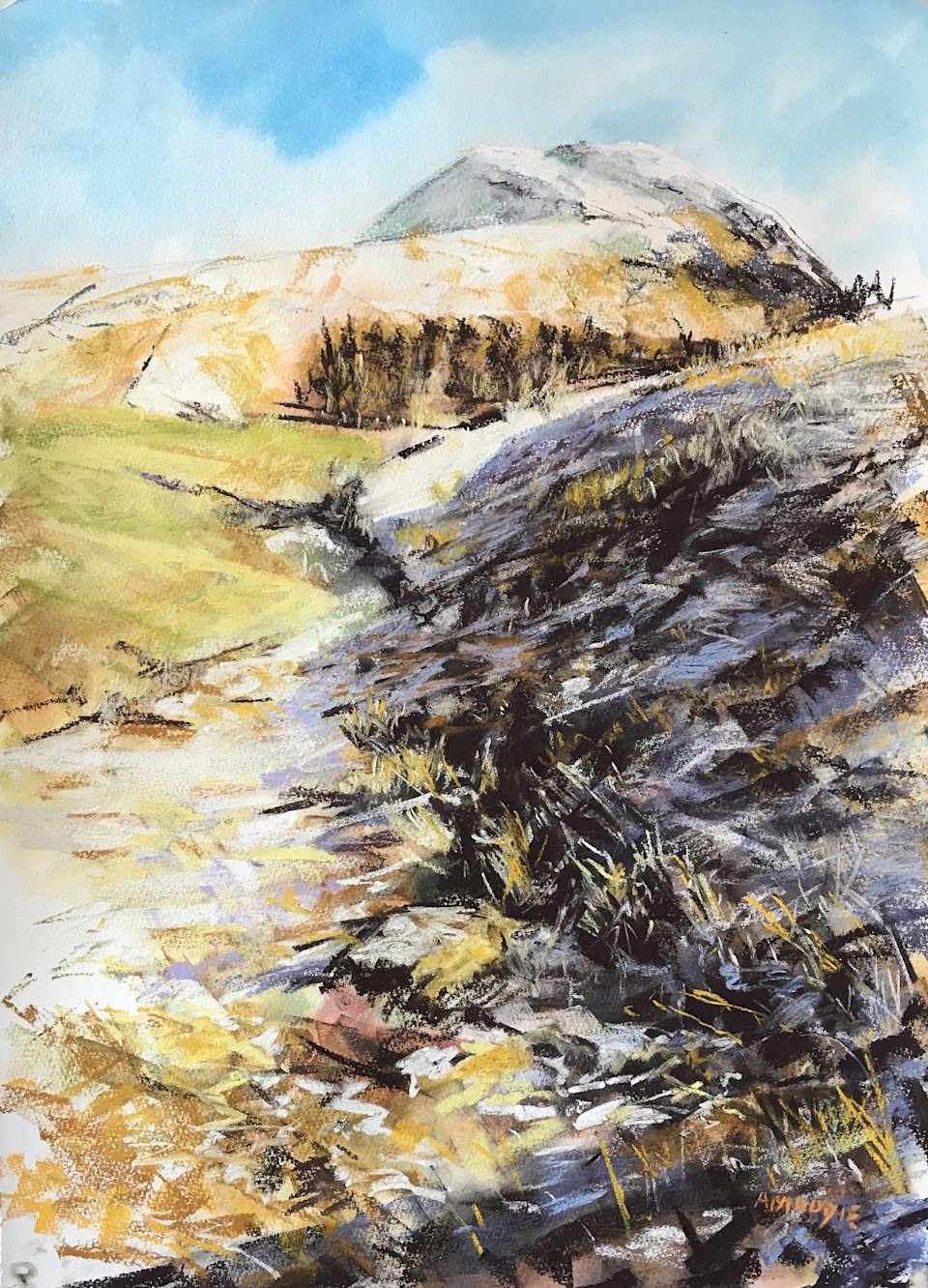 Winter Burn (mixed media, mounted)