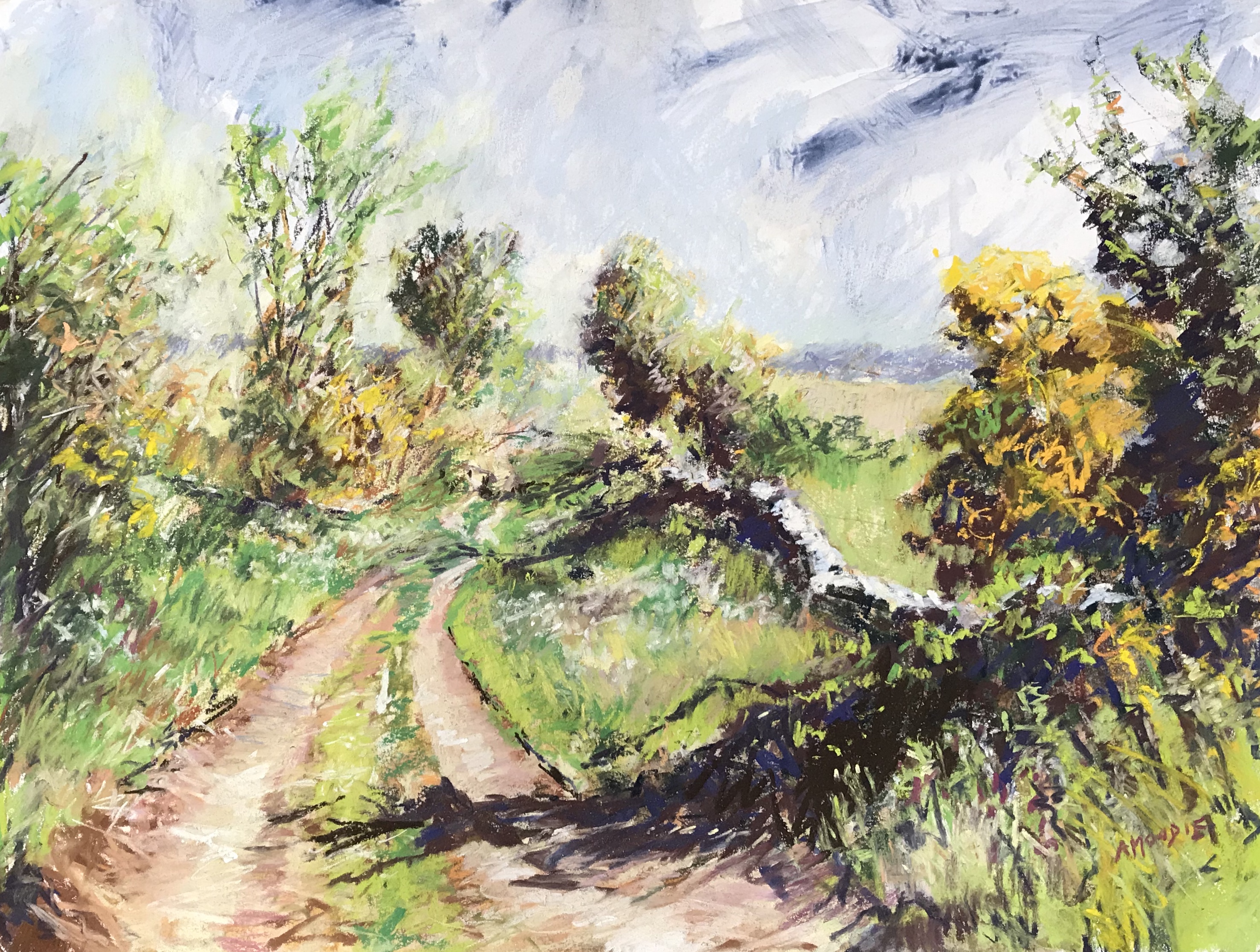 Sun and Bluster (mixed media, mounted)