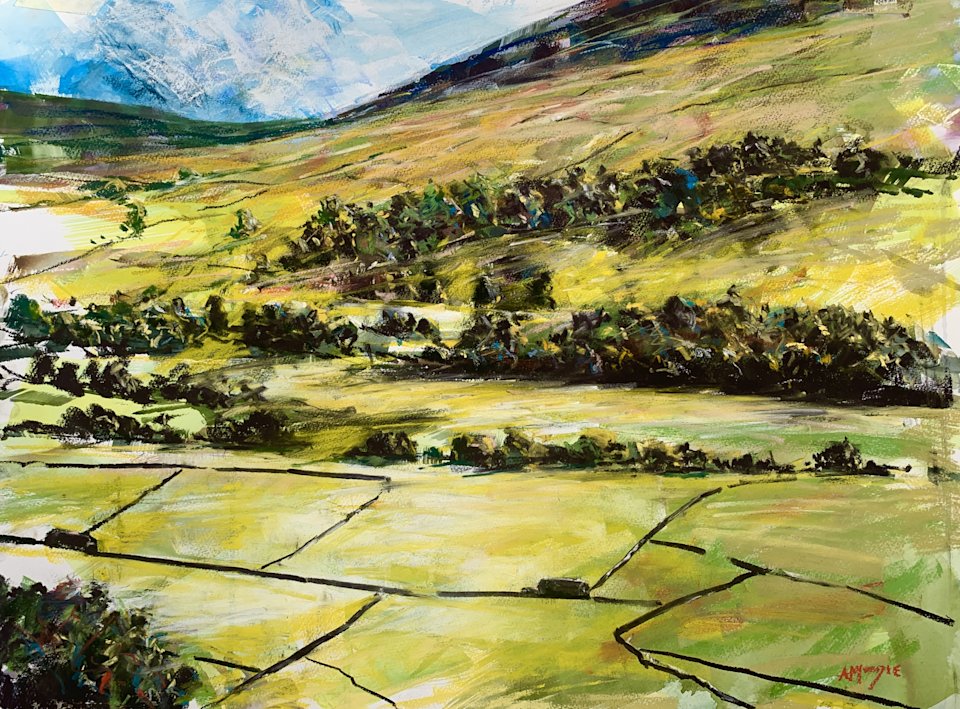Swaledale Light (pastel, mounted)
