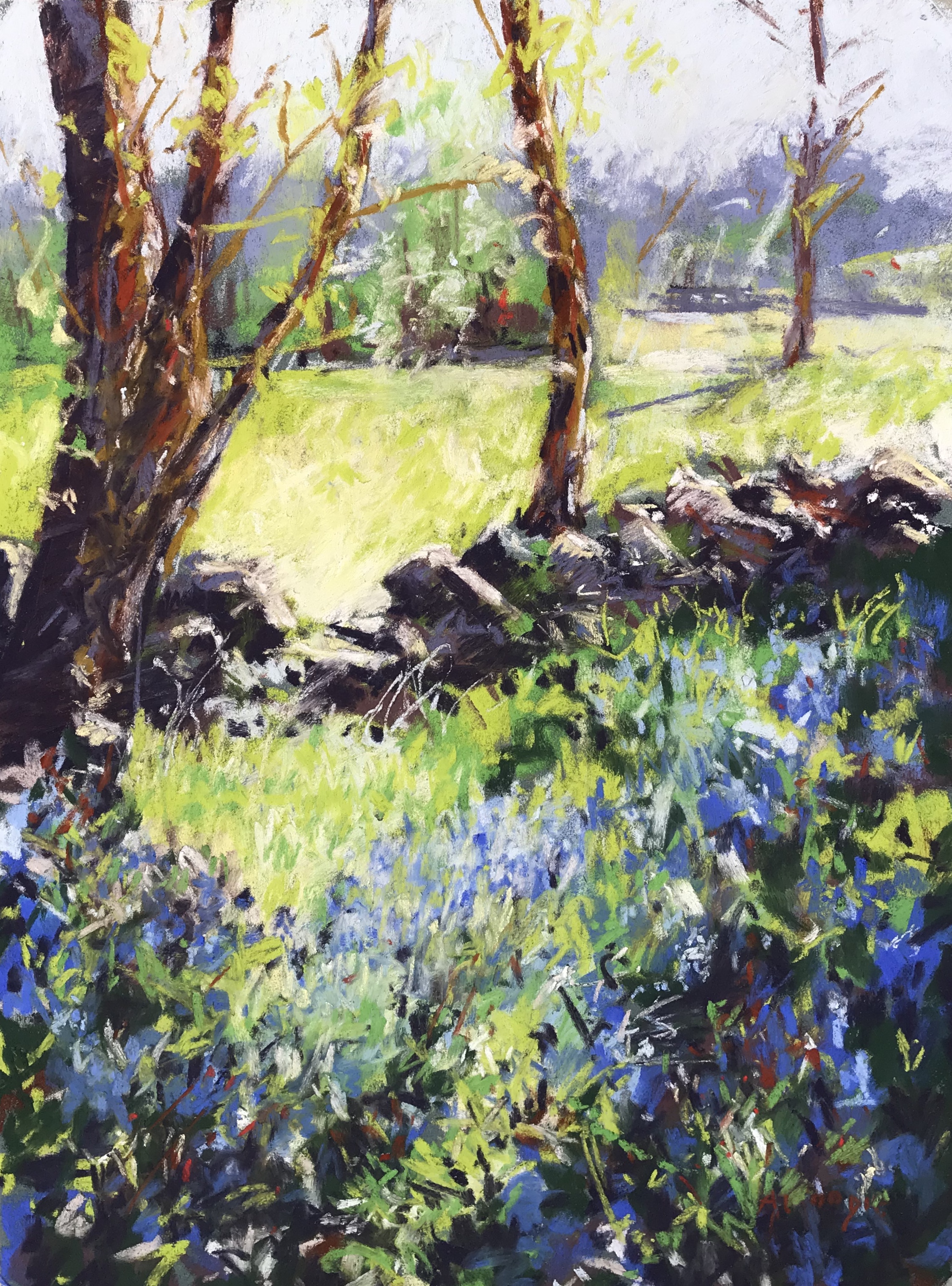 Sunlight and Bluebells (pastel, mounted)