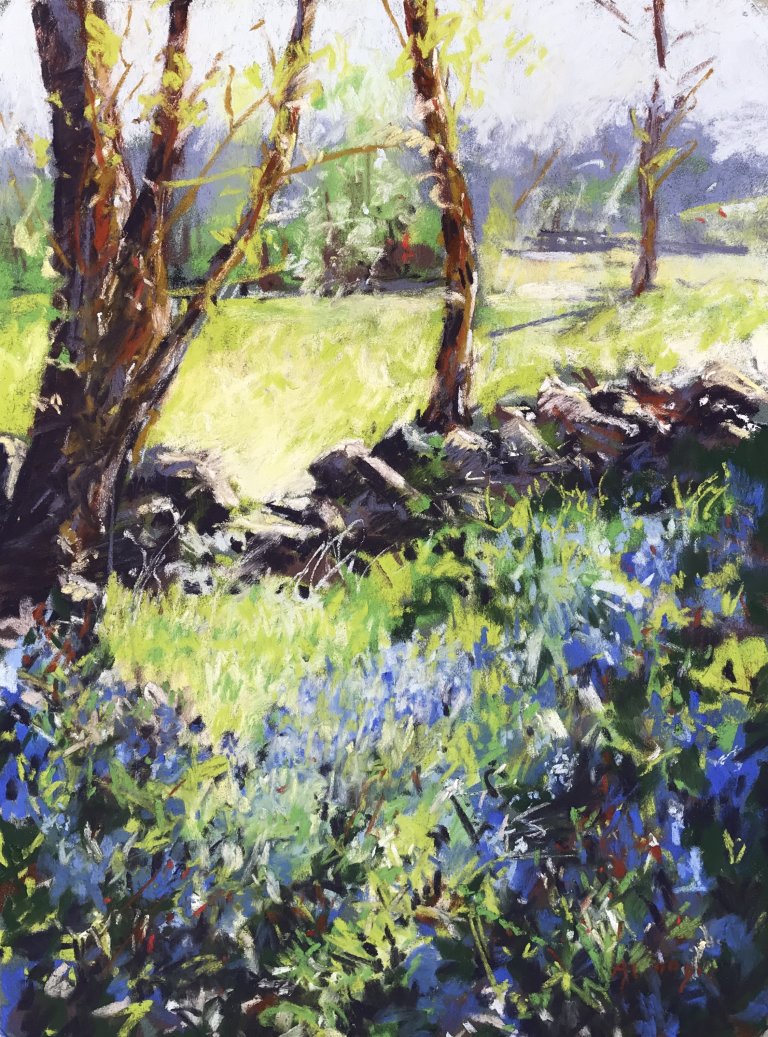 Sunlight and Bluebells (pastel, framed)