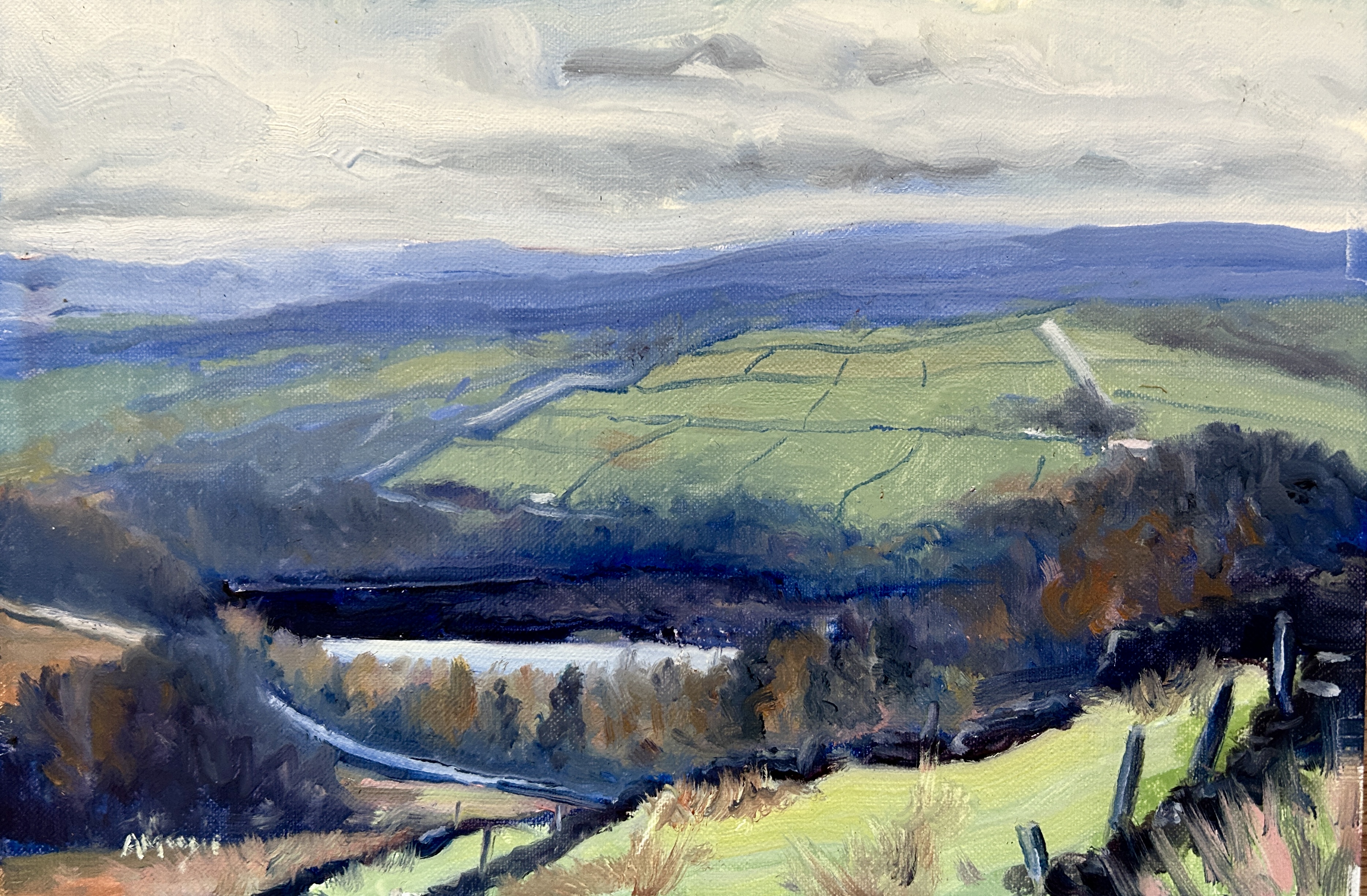 View Over Thruscross Reservoir (iol, framed)